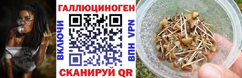 Псилоцибиновые грибы Magic Shrooms  Корсаков 
